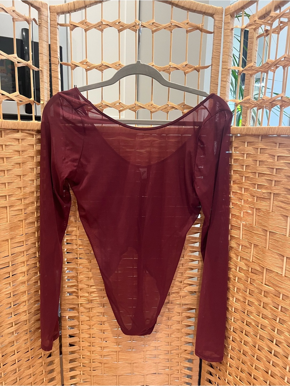 Parade Size Large Sheer Long-Sleeve Thong Bodysuit - Burgundy